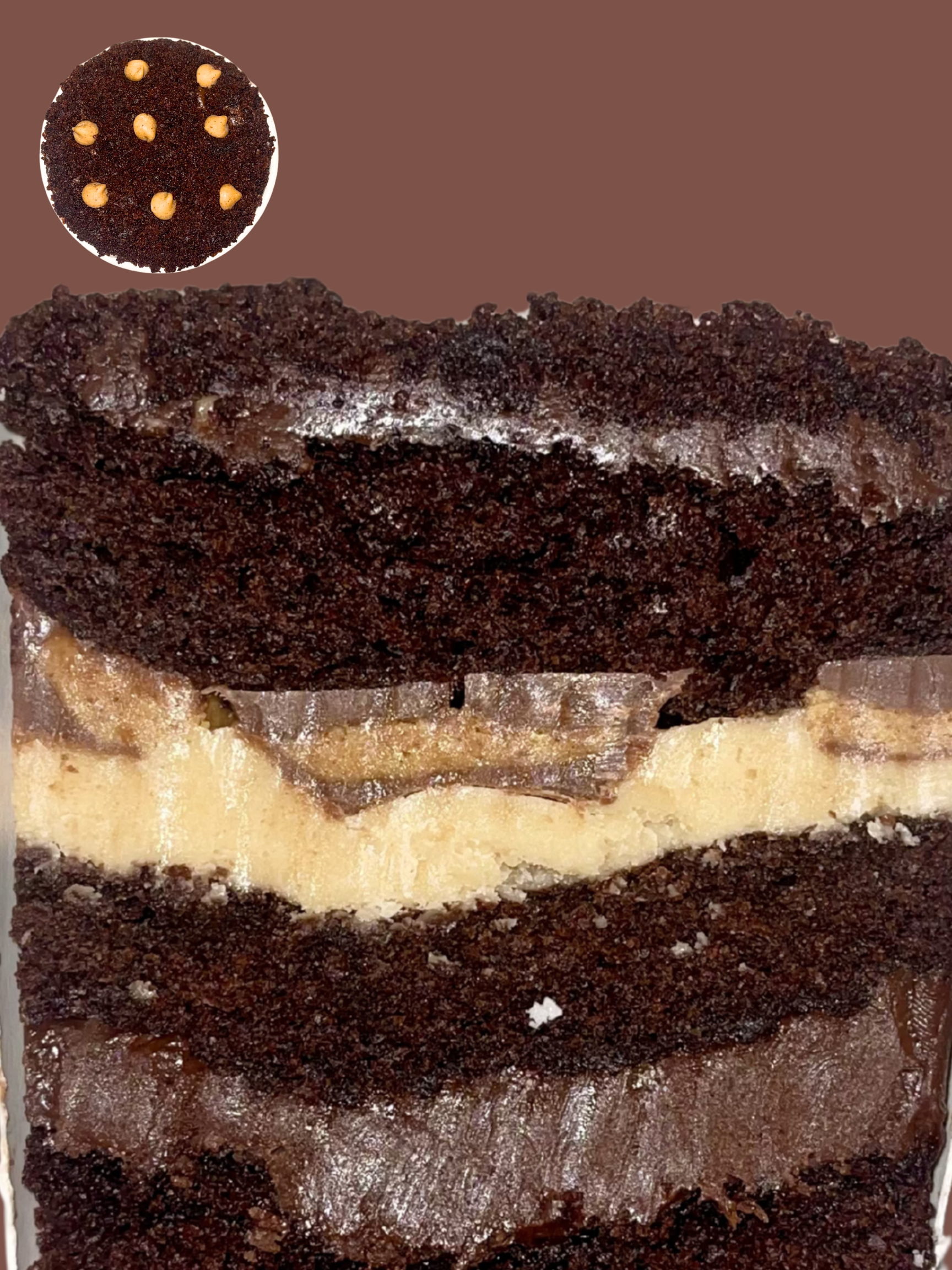 FUDGY PEANUT BUTTER MADNESS