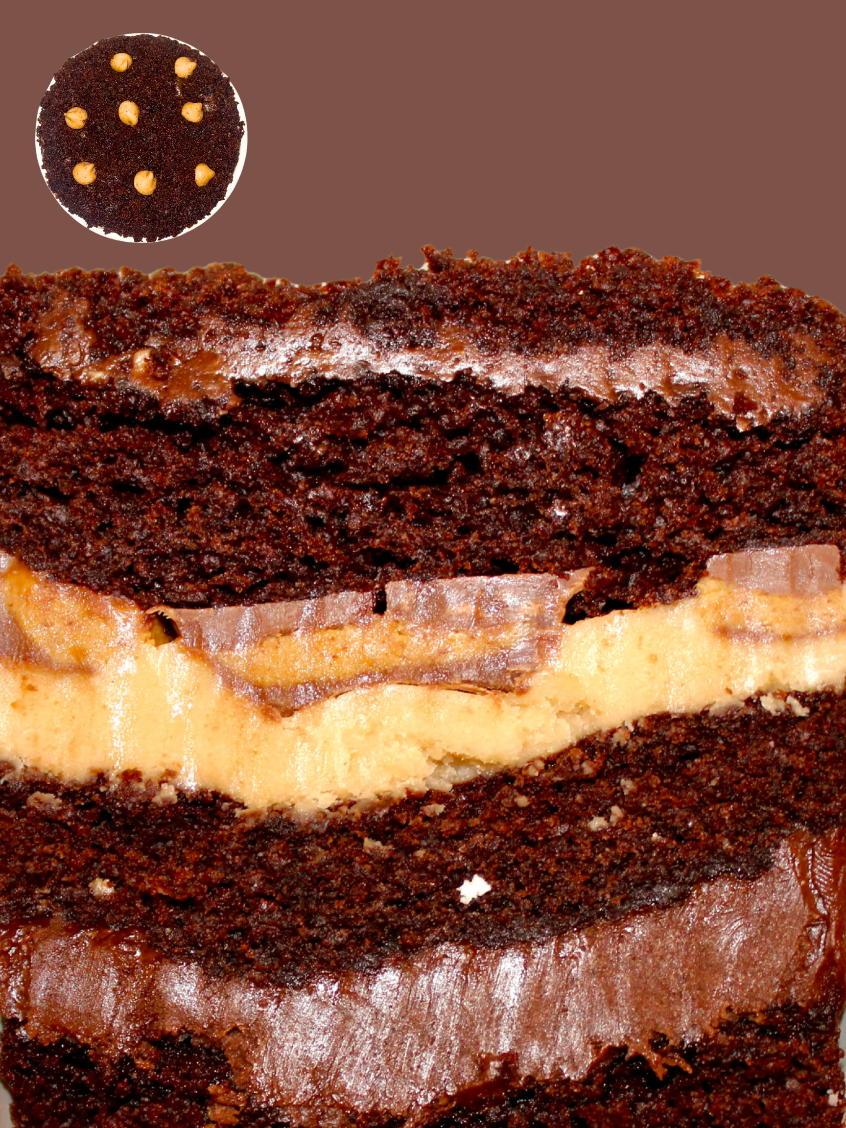 FUDGY PEANUT BUTTER MADNESS