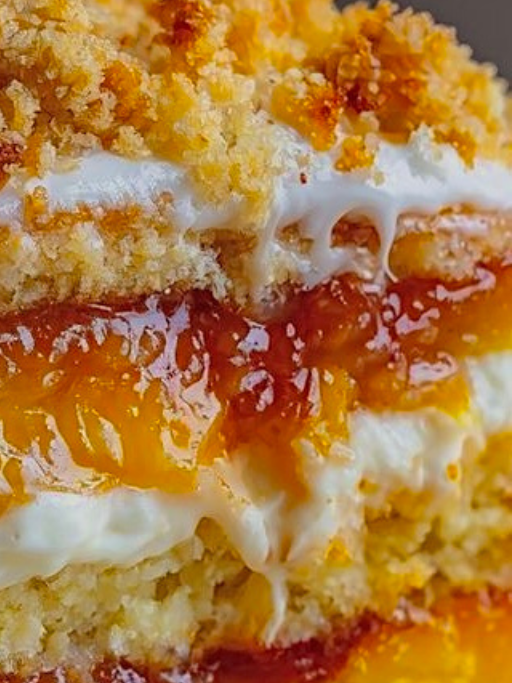 FALL BUNDLE (LIMITED EDITION)