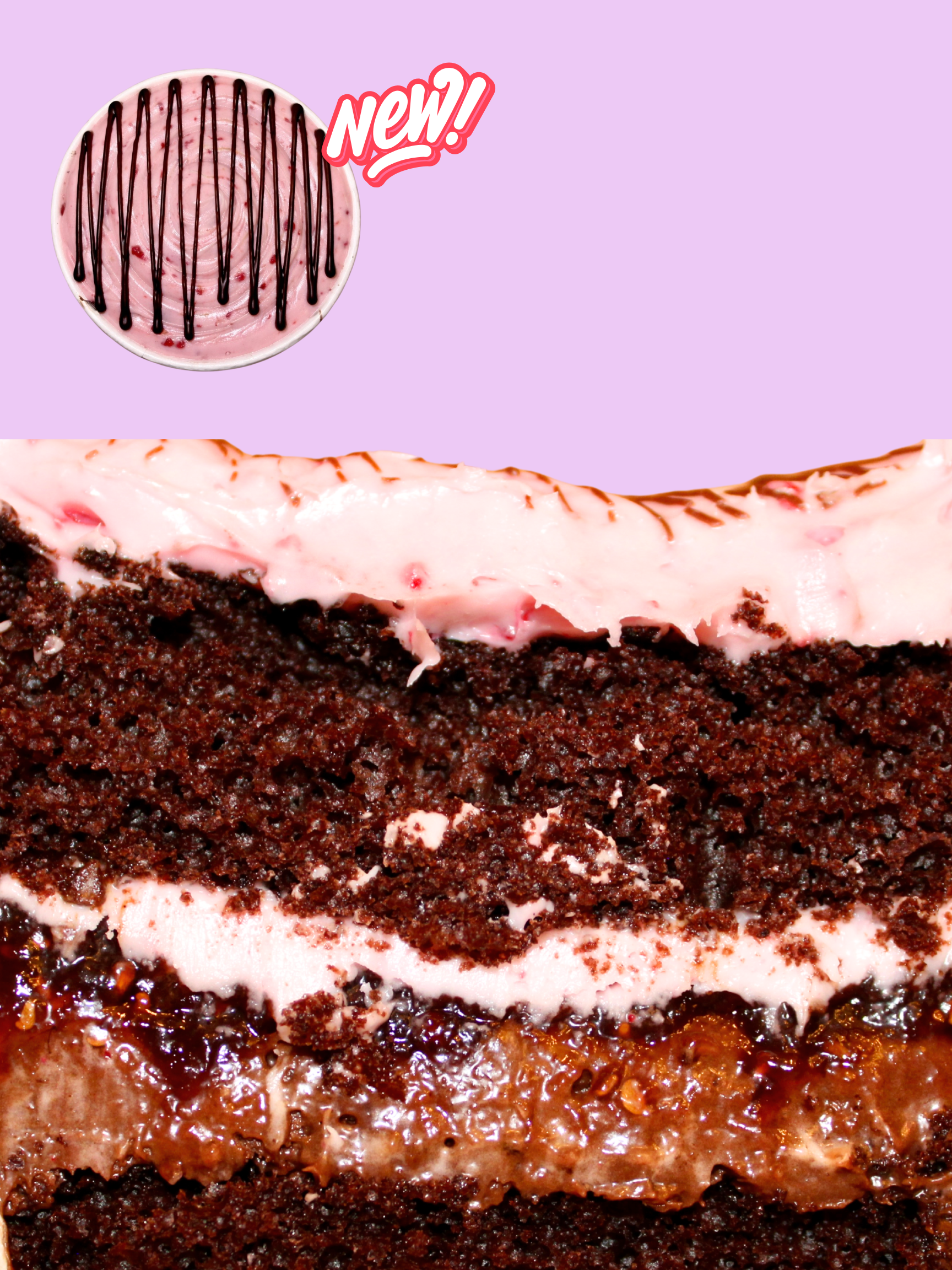RASPBERRY FUDGE DREAM
